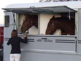 Ouverture Estivale donnant accès à la tête des chevaux et aux mangeoires intégrées.