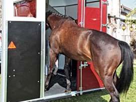 2 portes arrière qui canalisent les chevaux avec Plancher Progressif™ (brevet FAUTRAS) pour un embarquement facile. L’ouverture sans pont évite de se baisser et offre la possibilité de reculer devant le box.