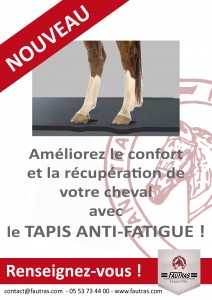 pour les longs trajets, choisissez le tapis anti-fatigue pour votre cheval 