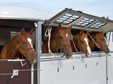 Auvent latéral donnant accès à la tête des chevaux (en option).